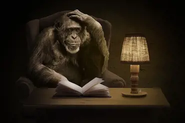 Mohou se vyvinout superinteligentní primáti a Planeta opic se stát skutečností? Bohužel ano, tvrdí vědci