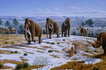 Viděli jsme mamuty. Nevymřeli! hlásí lidé ze Sibiře