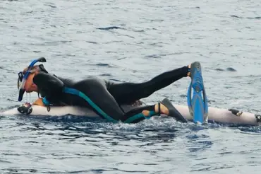 Potápěčku se chystal sežrat žralok, zachránila ji velryba. Úžasné video obletělo svět