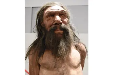 Vědci zrekonstruovali sympatickou tvář neandertálce z Altamury. Zuby užíval zuby