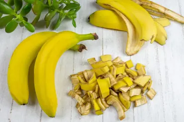 Kterým rostlinám nejvíc pomohou banánové slupky: Je to jedno z nejlepších hnojiv