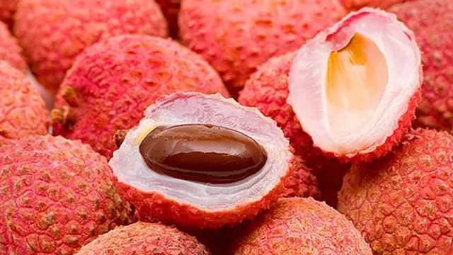 Lici Pestovani (Některé odrůdy, zrání plodů, červenou slupkou, odolnější vůči, odrůdy jsou) Lici Pestovani