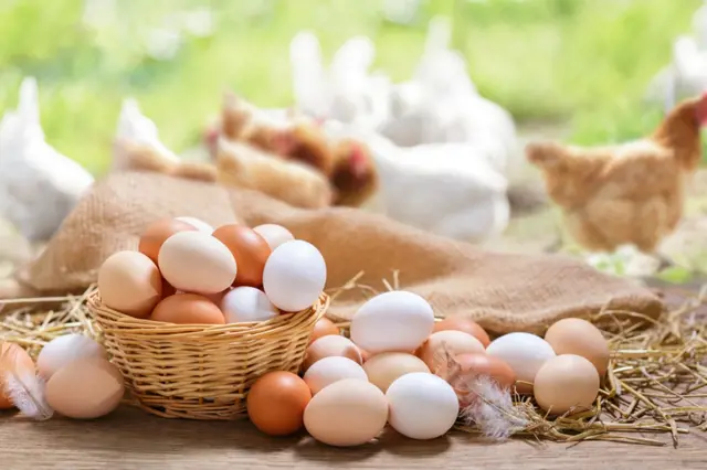 Jsou hnědá vejce zdravější než bílá? Neuvěříte, co rozhoduje o barvě a chuti vajec