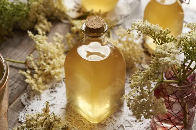 Recept našich babiček, který nezestárnul: Vitamíny nabitý bezový sirup s chutí dětství
