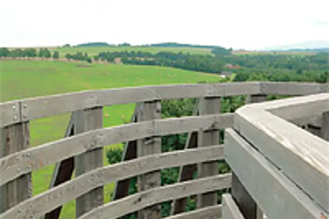 Heřmanice u Frýdlantu: Rozhledna z modřínového dřeva má 2x99 schodů