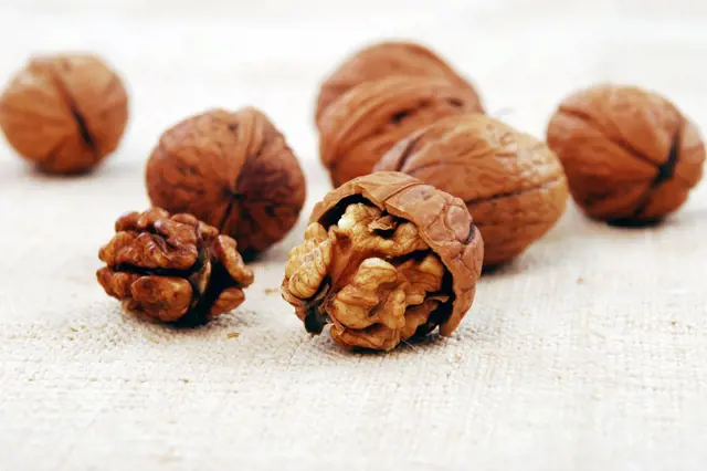 Kalorické hodnoty ořechů: Kešu pomáhá hubnout. Po kterých ořeších ale přiberete?