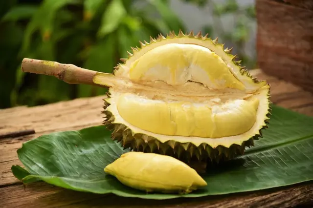 Ochutnali jste už durian? Chutná jako pokrm bohů a páchne jako čertovo lejno