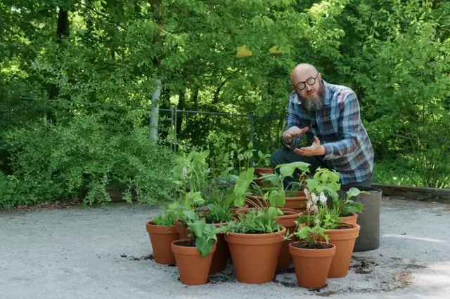 Nedělní inspirace: Chytrý nábytek pro malé byty, škůdci na zahradě, pokládka trávníkového koberce