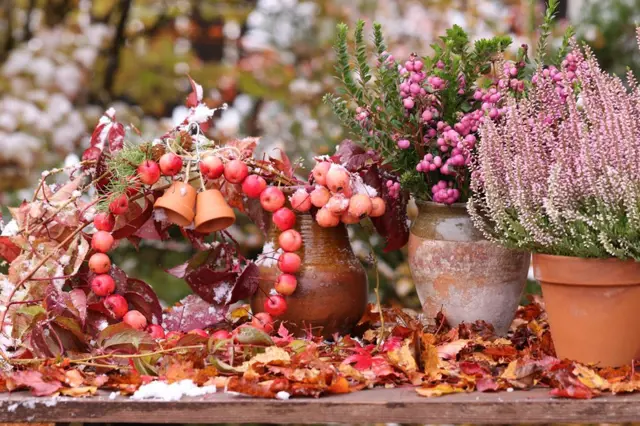 Oslava padajícího listí: podzimní krášlení zahrady i terasy