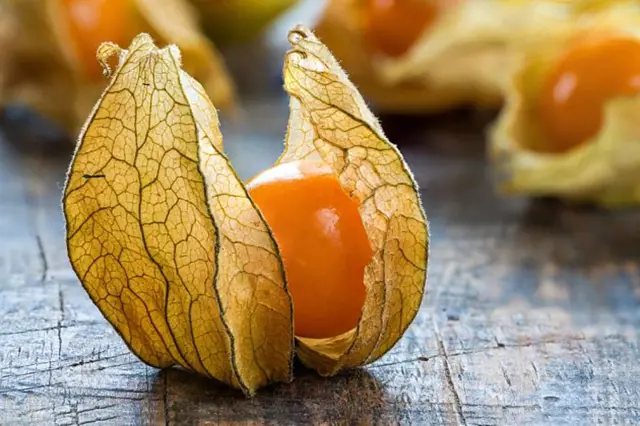 Zidovska Tresen (židovské třešně, které mohly, stromy plody, židovská třešeň, možné židovská) Zidovska Tresen