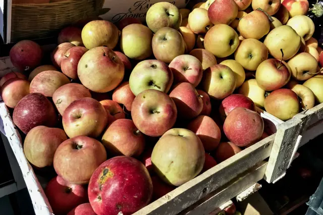 Kolik dostanete letos ve výkupnách za jablka, hrušky, švestky a další ovoce
