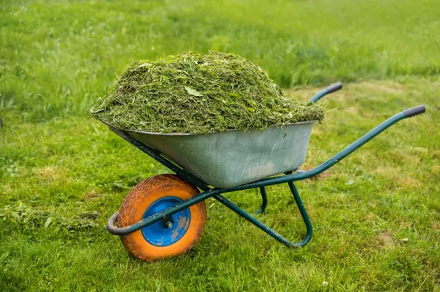 Jak vyrobit hnojivo z posekané trávy: Za pár dní máte univerzální životabudič