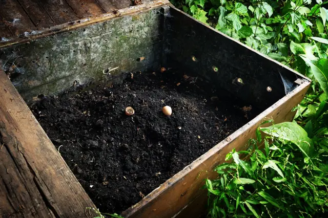 Horké kompostování zničí semena plevelů i zárodky chorob. Jak kompost založit?