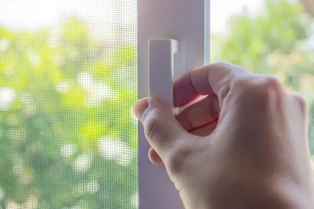 Jak vyčistit sítě do oken: Díky těmto trikům se snadno zbavíte nečistot i mrtvého hmyzu