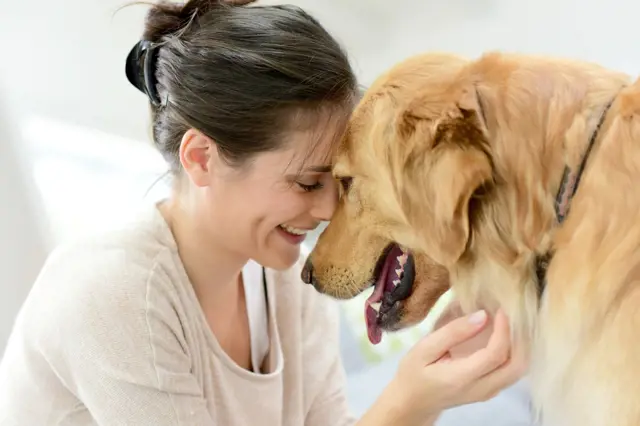 Jakou má váš pes paměť: Udělejte mu jednoduchý rychlý test