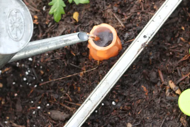 Naši dědové to dělali jinak. Starý trik na zavlažování během dovolené funguje dodnes