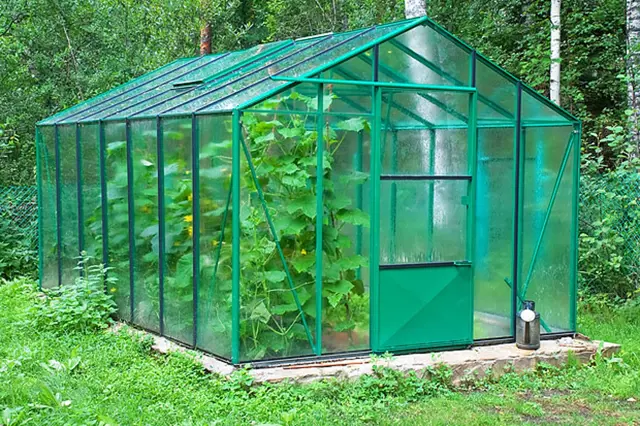 Pěstování ve skleníku: okurky, rajčata, papriky, réva, salát, kedlubny