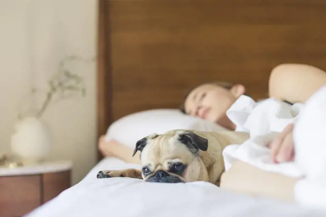 Pro zdravý spánek a klidné usínání: Nejoblíbenější dětské postele