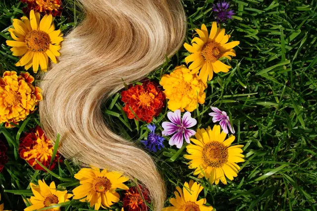 Jak si naše babičky naprosto přírodně barvily vlasy: Vystačily si s bylinkami