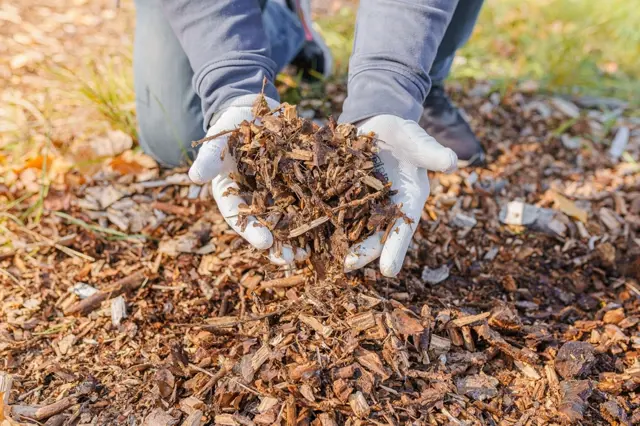Chytré triky, jak využít piliny, štěpku a další zahradní odpad: Překvapí vás