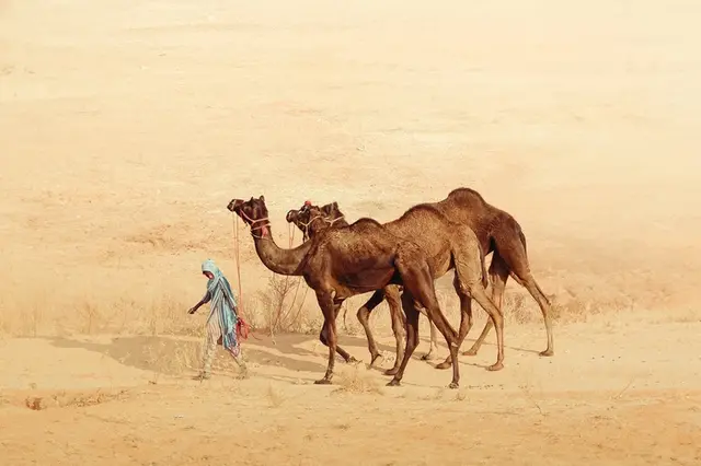 Vítězové britské foto soutěže National Geographic Traveler 2025