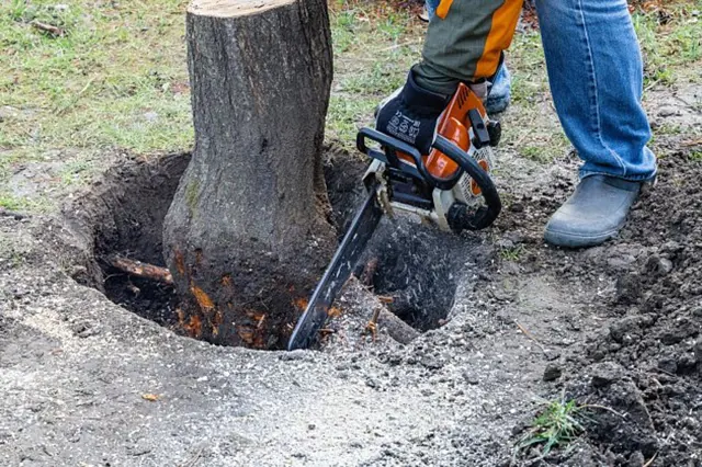 Jak Znicit Parez () Jak Znicit Parez