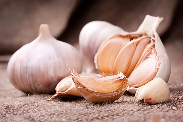 Jak Uskladnit Cesnek V Panelaku