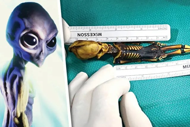 Záhadná mimozemská mumie Ata: Vědci rozluštili tajemství jejího původu