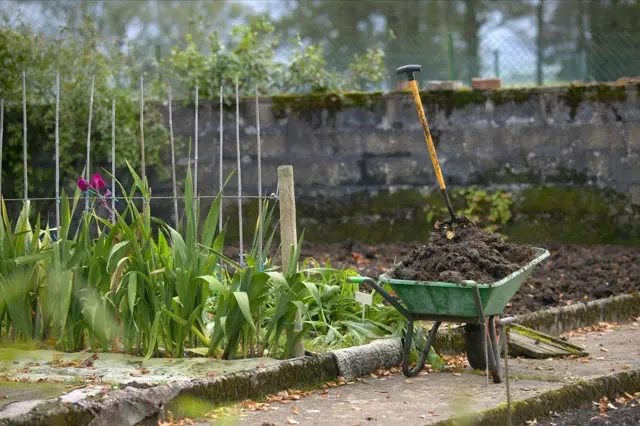 Jak na podzim hnojit záhony: Zkušená zahradnice radí nejlepší postup