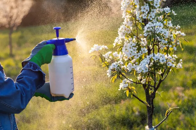 Přírodní pesticidy: Bezpečné, efektivní, levné a škůdce zaručeně zničí