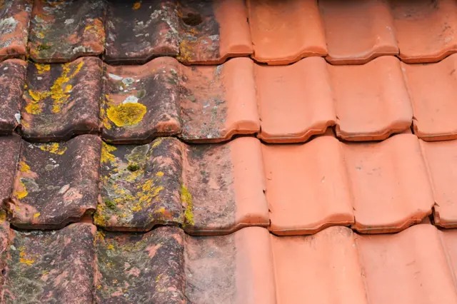 Jak odstranit mech ze střechy nebo plotu: Skvěle funguje běžný levný prostředek