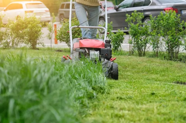 Jak často sekat trávník: Podle britského experta to nejspíš přeháníte