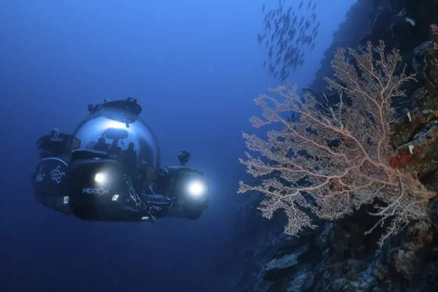 Potápěči u Malediv objevili "rybí kantýnu". Nádherný svět plný zázraků je ale zároveň i smrtící pastí