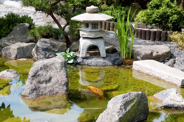 Nekrásnější fotografie japonských zahrad. Inspirace i pro vaši malou zahrádku