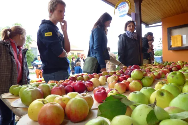 Jablečná slavnost v Bílých Karpatech	