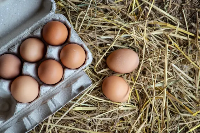 Jak poznáte vejce z klecového chovu: První číslo kódu říká o životě slepice vše