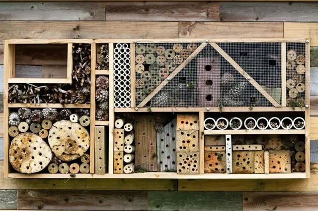 Minivčelín: Jednoduchý návod, jak si na zahradě zařídit vlastní jednoduché úly