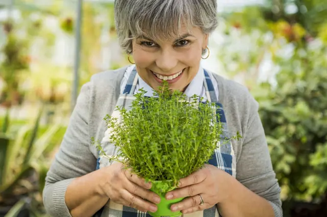 6 vyvoněných rostlin, co by měl pěstovat každý milovník zdraví a aromaterapie