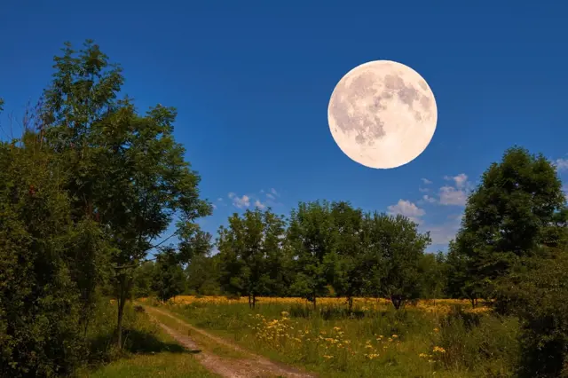 Zahradničíme podle Měsíce: Jaké práce provádět v dubnu podle Luny?