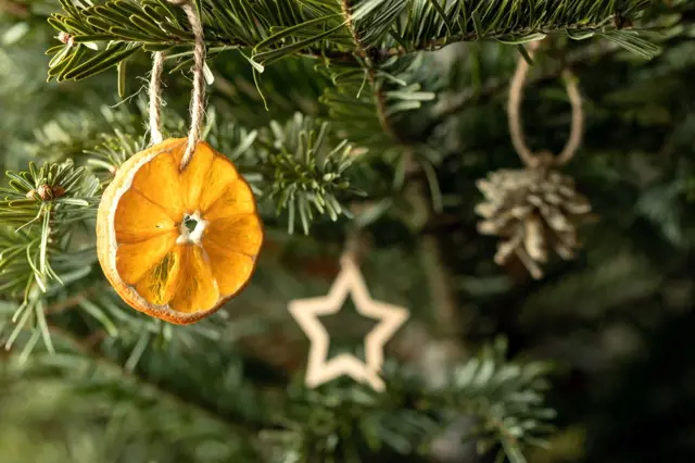 Přírodní stromeček: Vyrobte si krásné vánoční ozdoby z citrusů a slámy