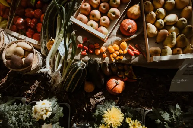 Podzimní Flora Olomouc se odehraje v říši ovoce a zeleniny