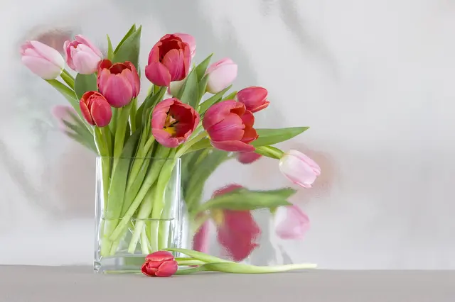 Měkkým květům se zelenými stonky, jako jsou například tulipány nebo lilie, stačí naplnit vodu pouze do poloviny vázy.