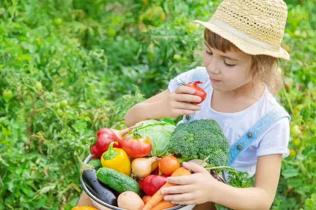 Ovoce a zelenina, které mají nejvíce vitamínu C: Máte je na své zahradě?