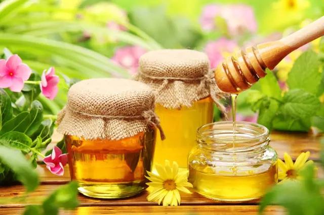 Jak bezpečně poznat pravý včelí med a nenechat se ošidit