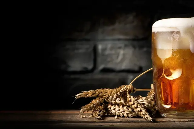 Jak využít pivo jinak, než k pití? Bude se vám po zimě hodit nejen na zahradě