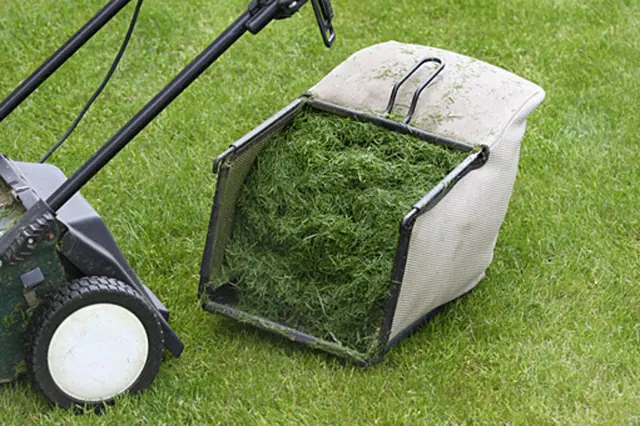 Využijte posečenou trávu: mulčování, kompostování, výroba bioplynu
