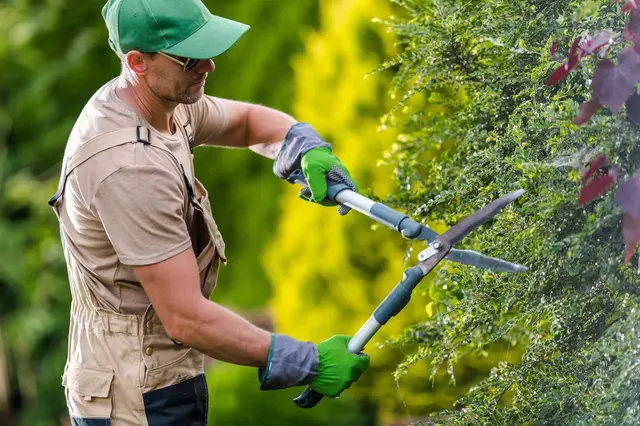 Zapomeňte na túje: Živé ploty podporující biodiverzitu