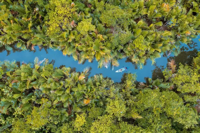 Když řeka mluví: Robert Macfarlane o tom, co nám řeky opravdu říkají v nové knize „Is a river alive?“