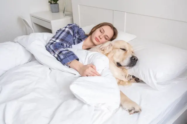7 důvodů, proč spát se psem v posteli. Některé jsou kuriózní!