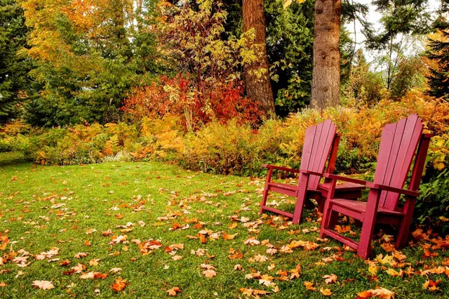Ne vždy je hrabání listí přínosem. Jak se postarat o podzimní trávník?